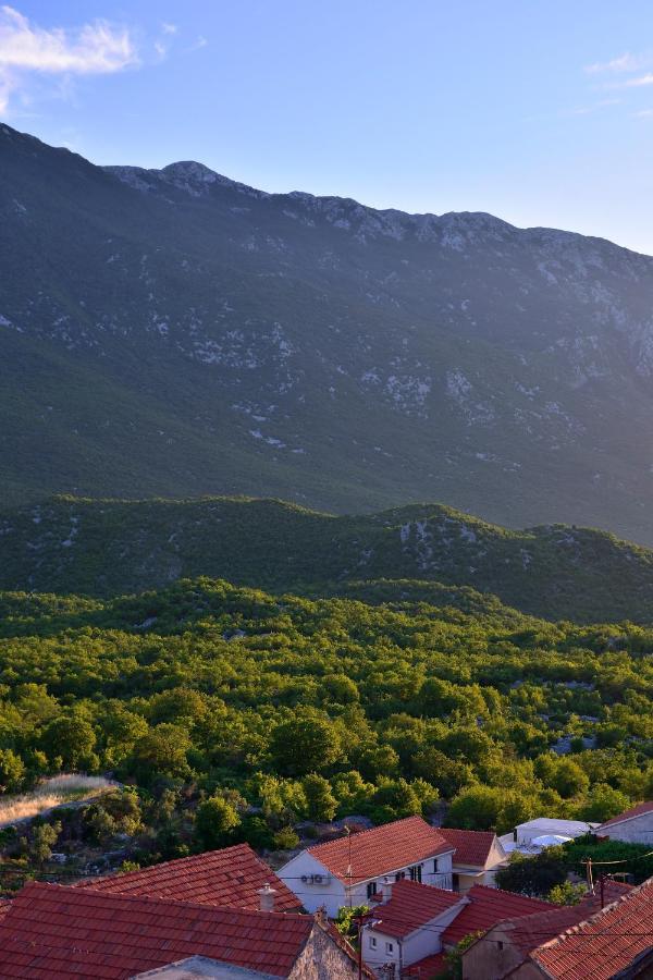 Charming And Authentic Stone Villa Stanic Zagvozd Dış mekan fotoğraf